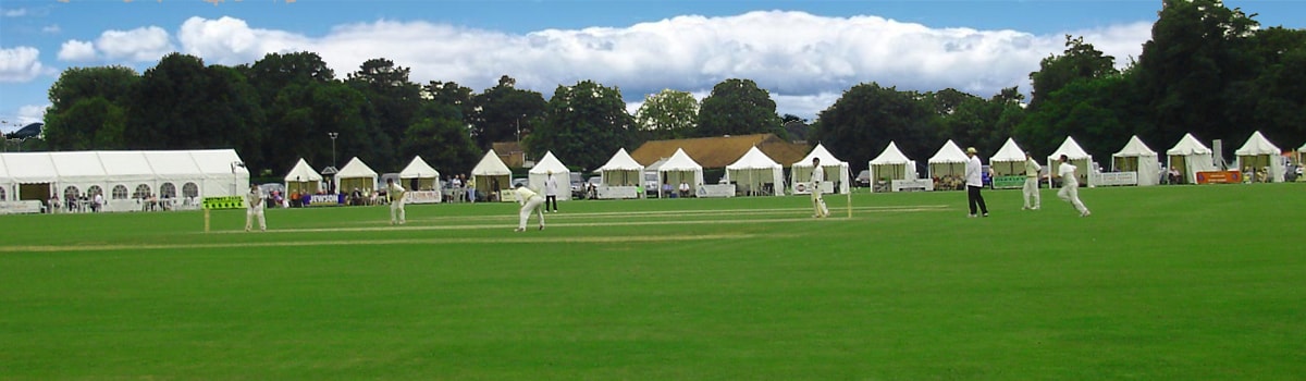 Pro Cricket Exchange