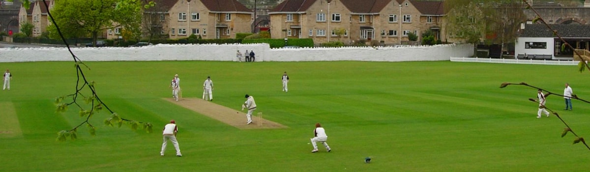 Pro Cricket Exchange